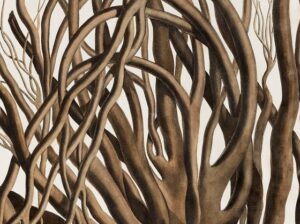 Kumu uus näitus vaatab tänapäevase pilguga ajaloolisi teadusjoonistusi