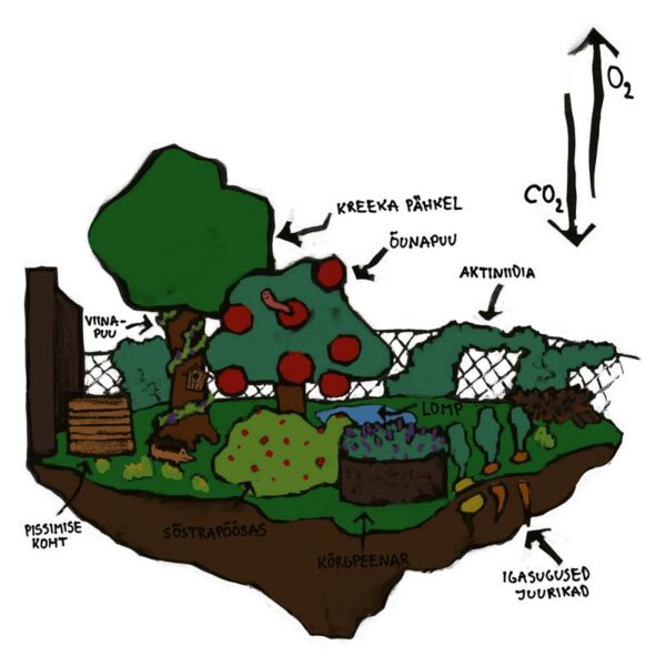 Linnasissi metsaviljelus. Huligaanne essee