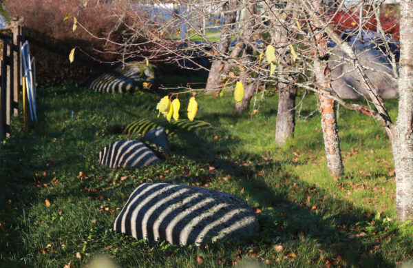 Punahing paelaga kaelas