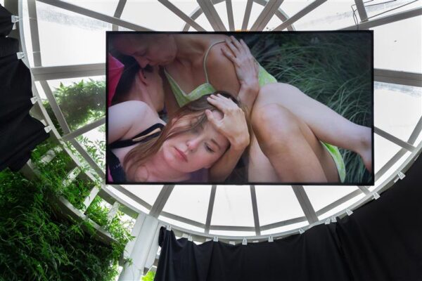 F&auml;nnikiri Artishokile