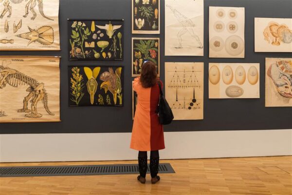 Kunst v&otilde;i teadus?