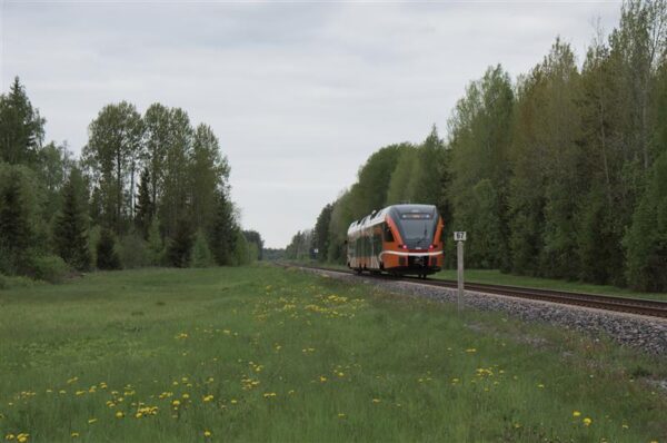 Sõdurivöö ja surematu sall