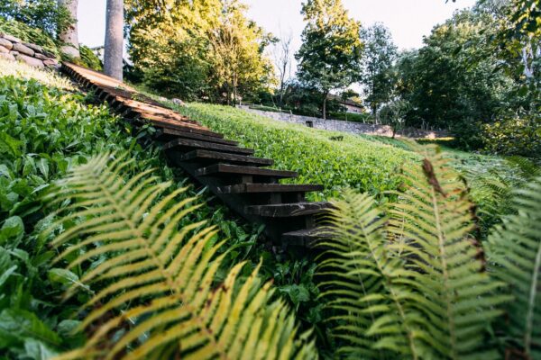 Mine Kassisaba alla!