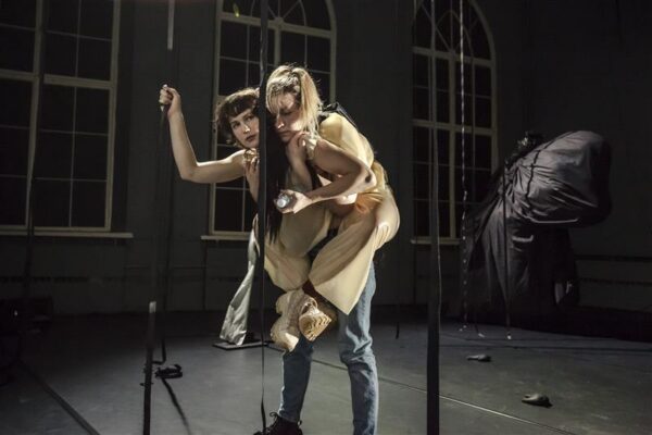 Lehmakeha kui lihajas harjumus