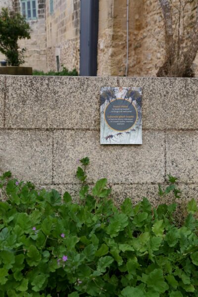 Juhime evolutsiooni, aga kuhu? Lugu sellest, kuidas inimene loodusele vastu hakkas ja haledalt l&auml;bi kukkus