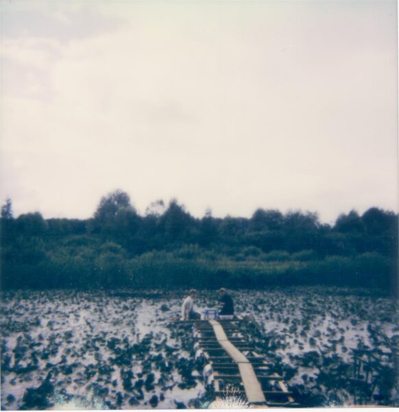 Kogutud teos. Kestev m&otilde;istatus