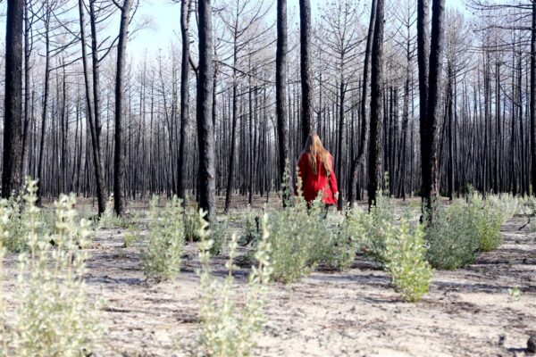 Tulevikku vaatav humanitaaria
