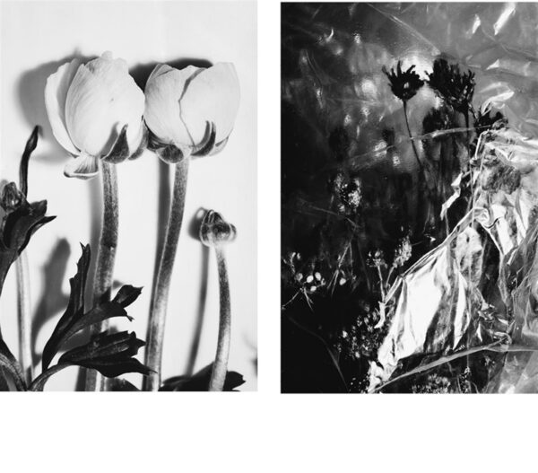 Valgusega kirjutatud vaikus