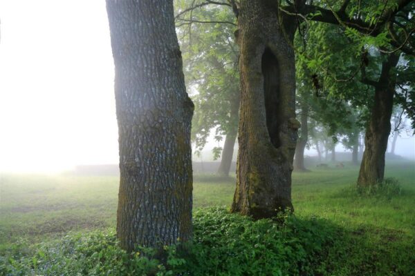 Mis juhtub p&auml;rast kriisi?