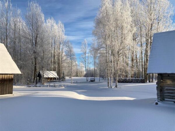 Hirm on halb peremees. Nursipalu näitel