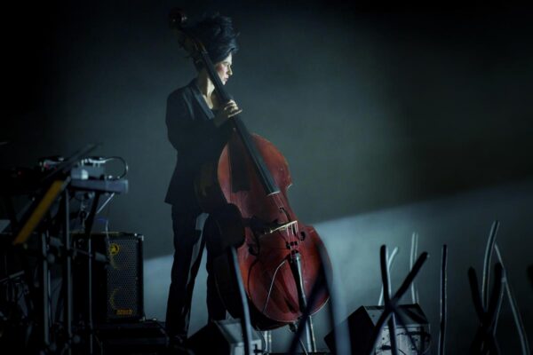 &Auml;&auml;rem&auml;rkus   &ndash; &bdquo;Elajannad&ldquo;.  L&auml;heduse kaitseks