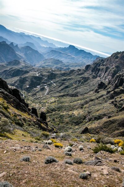 Metsad, nagu saaredki, küpsevad ajas