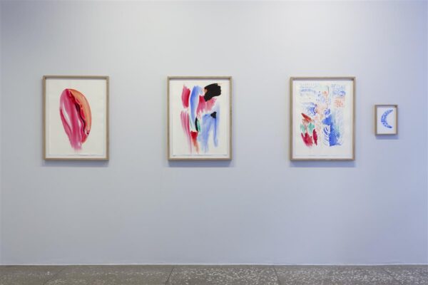 Kogutud teos. Diāna Tamane &uuml;heksa elu