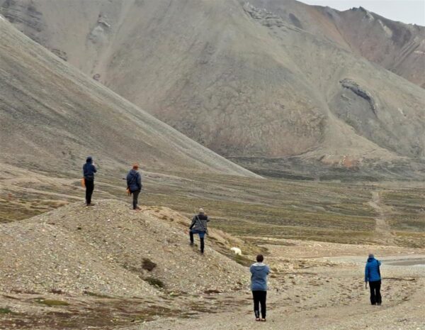 &Auml;&auml;rem&auml;rkusi teaduse vahelt. Arktiline toidusedel sisikonnasupist kaldamudast korjatud kirpv&auml;hkideni