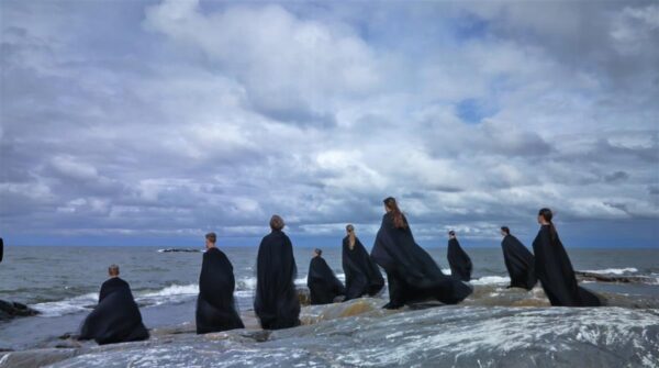 Kormoranid, evolutsiooniteooria  ja v&auml;ltimatu kaaslane tehisaru