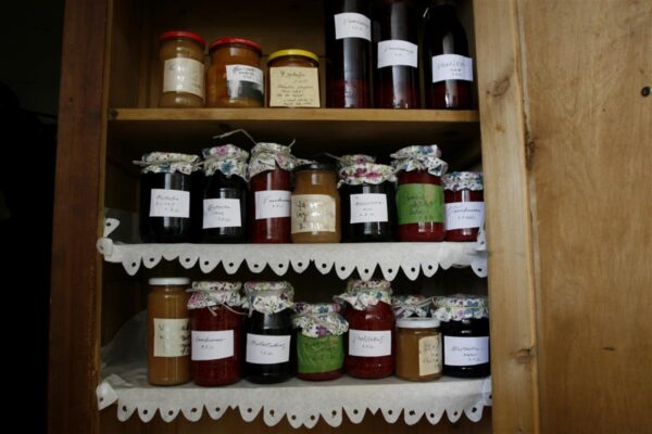 Kuniks elu, seniks moosi!