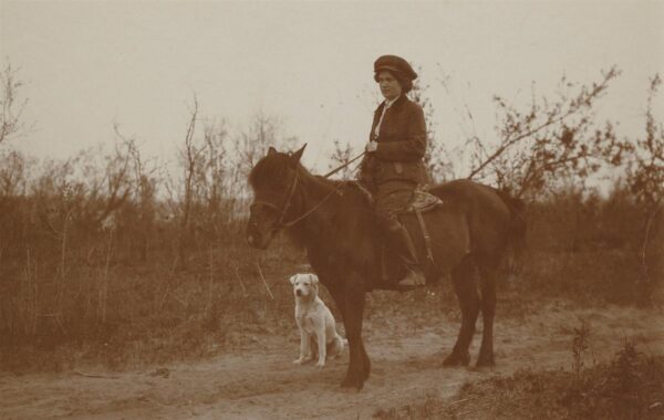 Rietite v&otilde;imas fotod&uuml;nastia