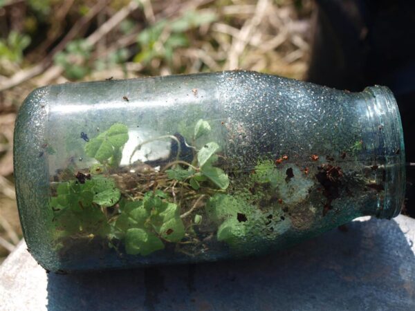 Varibiosf&auml;&auml;r &ndash; elu, mida me ei tunne