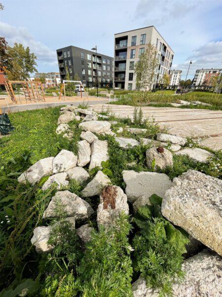 Puu ei ole indulgents