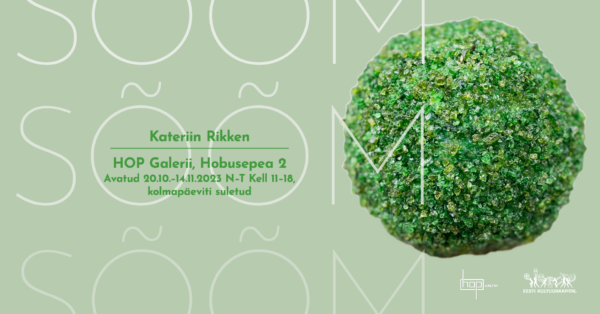 Kateriin Rikkeni näitus “Sõõm” Hop galeriis