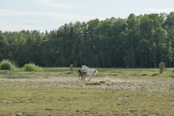 Keiu Maasik Tartu Kunstimajas 