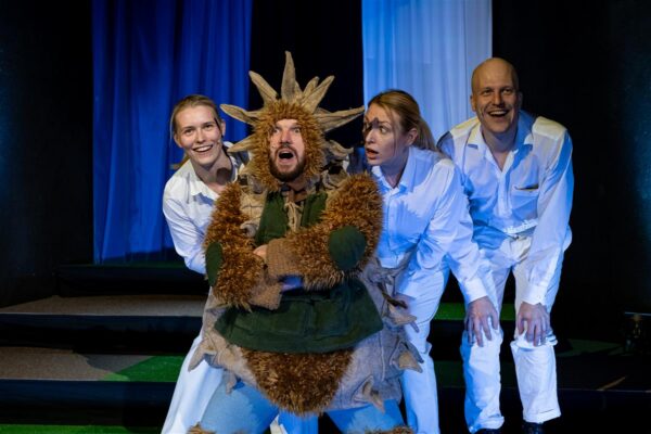 Siilike k&auml;is s&otilde;jas