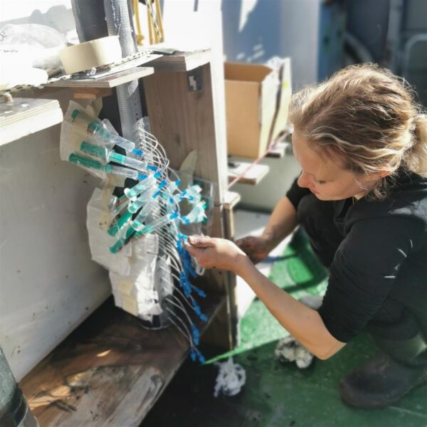 Naised geoloogias ehk Maal, maa all ja merel