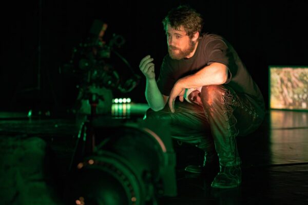 &Otilde;nnelinnud flamingod