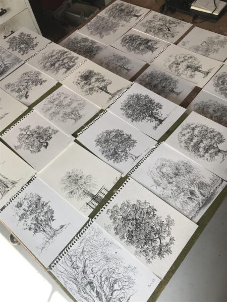 Anti Saare jõudeaja võrsed