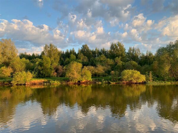 H&auml;sti v&auml;ljapeetud paus