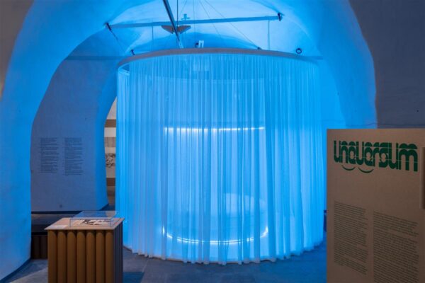 V&otilde;ib olla undki n&auml;ha