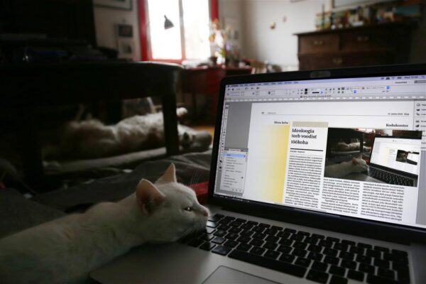 Ideoloogia teeb voodist töökoha