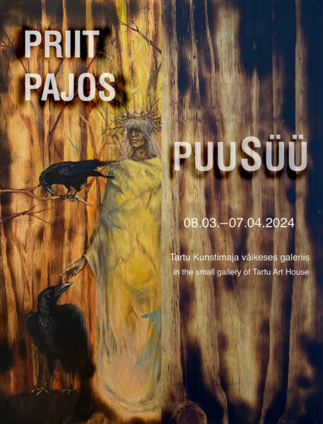 Priit Pajos Tartu Kunstimajas