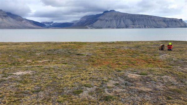 &Auml;&auml;rem&auml;rkusi teaduse vahelt. Ekseldes v&otilde;&otilde;rastes teadusmetsades
