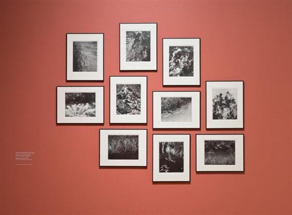 Unen&auml;oline j&otilde;gi meie t&auml;naval