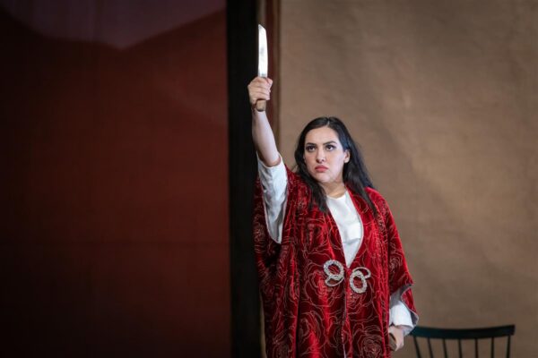 Veidi värvitute tiibadega liblika lend