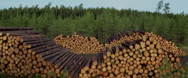 ETV2 keskkonnakuu avab kodumaine dokumentaal „Vara küps“