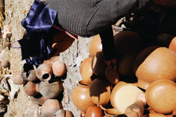 Taidur-disainer loomev&auml;ljal