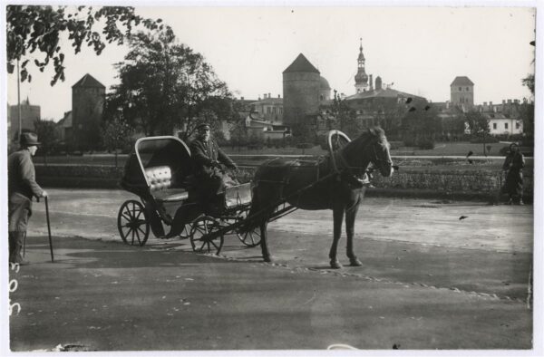 Tarkuse kurnamisest ja kasutamisest