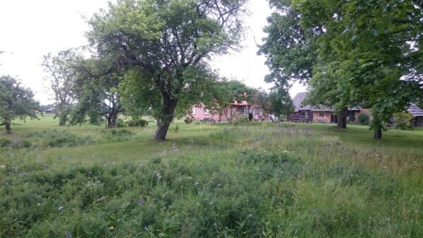 &Ouml;koloogiline kirjaoskus