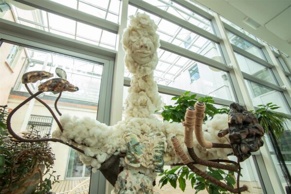 H&auml;rjap&otilde;lvlaste kaitseala