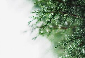 Ja maailm on. Ja ilu on