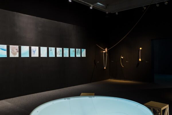 Kas keskkonnateemaliste n&auml;ituste &uuml;lek&uuml;llus?