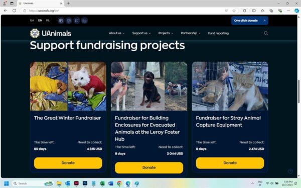 Imelihtne intersektsionaalsus