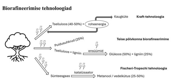 Kohalike ressursside v&auml;&auml;rindamise valu, v&otilde;lu ja ilu