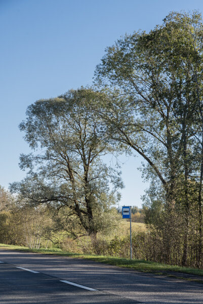 Johannes Säre Tartu Kunstimajas