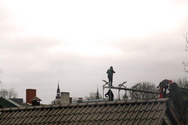 Pikk tee mugavustsooni