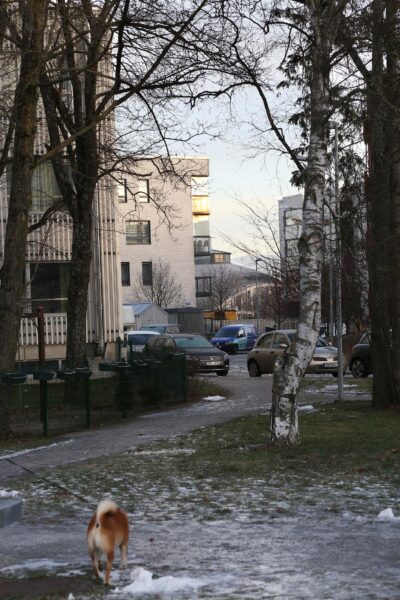 Uue aja arhitektid ja nende &uuml;lesanded eluasemekriisis