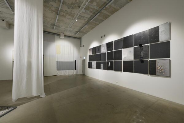 Ujuda bio logose vetes