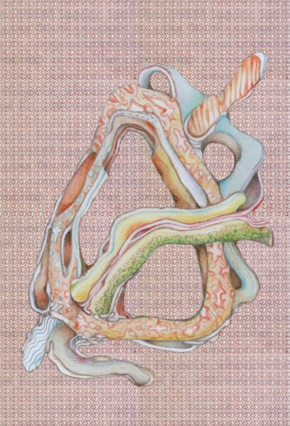 Kodustatud abjektsus ja eksortsism lihas